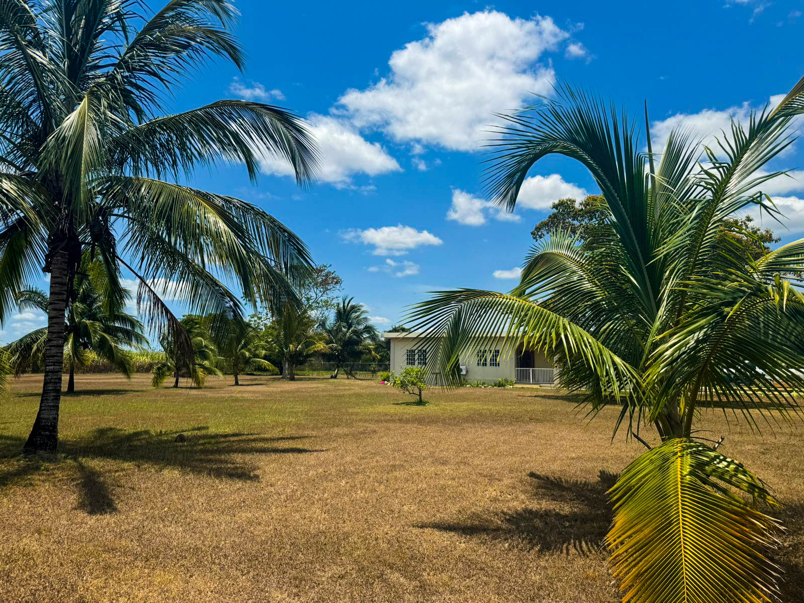 WhatsApp Image 2024-05-17 at 08.26.44_9478a93d